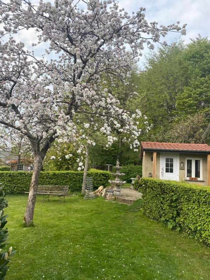 Chez Monsieur Bed and Breakfast Florenville Exteriör bild